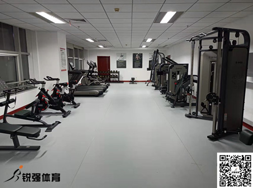 济南某集团采购的开云（中国电竞） Kaiyun,提供的健身器材